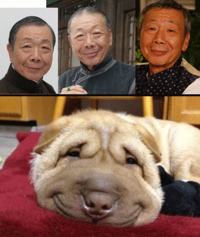 张中秦重磅利空接踵而至!
