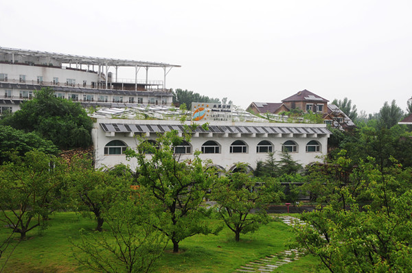 “习奥庄园”不宜选传统景区