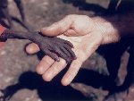 世上30张震撼人心的照片