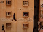 2013年军旅视角精选朝鲜女兵秀美腿最亮眼